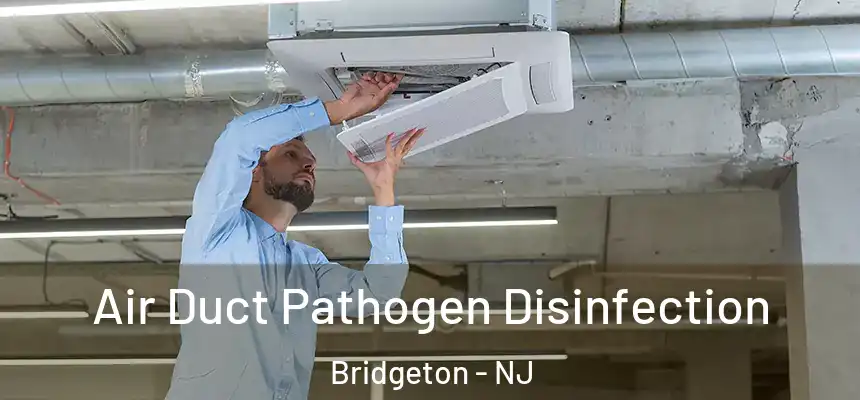 Air Duct Pathogen Disinfection Bridgeton - NJ
