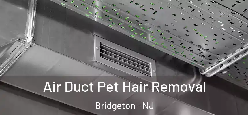  Air Duct Pet Hair Removal Bridgeton - NJ