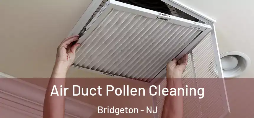  Air Duct Pollen Cleaning Bridgeton - NJ