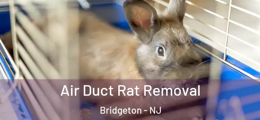 Air Duct Rat Removal Bridgeton - NJ