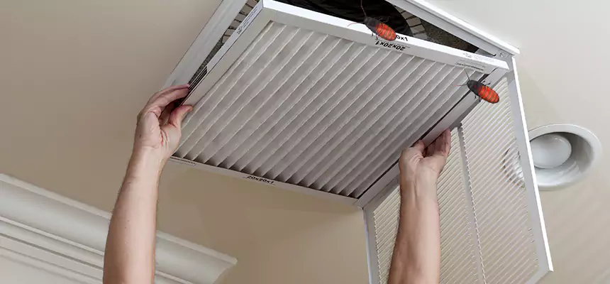 Preventive Cockroach-Proofing for Ducts in Bridgeton