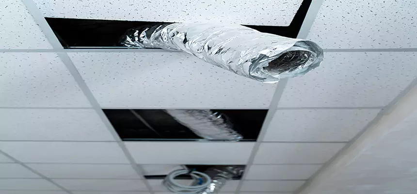 Affordable HVAC Sanitizing After Pest Removal in Bridgeton