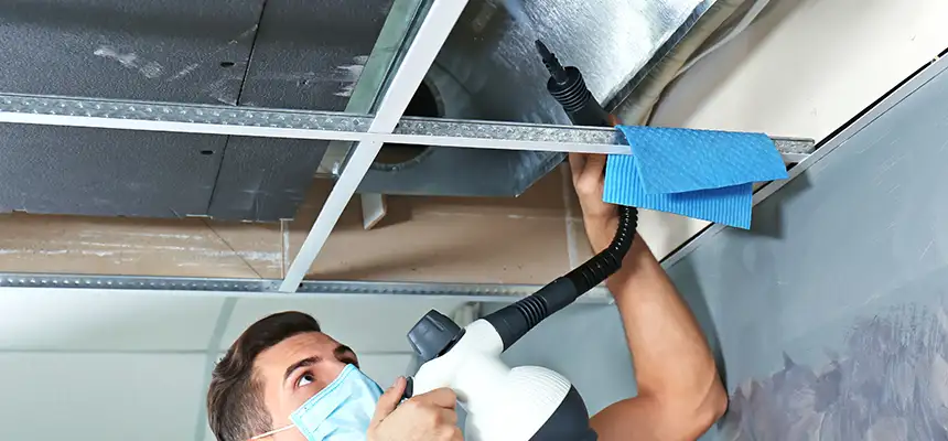 Our Air Duct Rodent Removal Services in Bridgeton, NJ