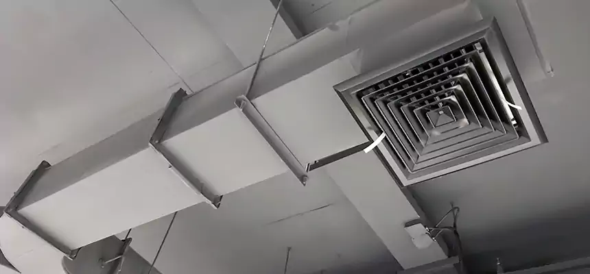 Restorative Allergy Relief Vent Cleaning – Coil, Blower & Housing Detail in Bridgeton