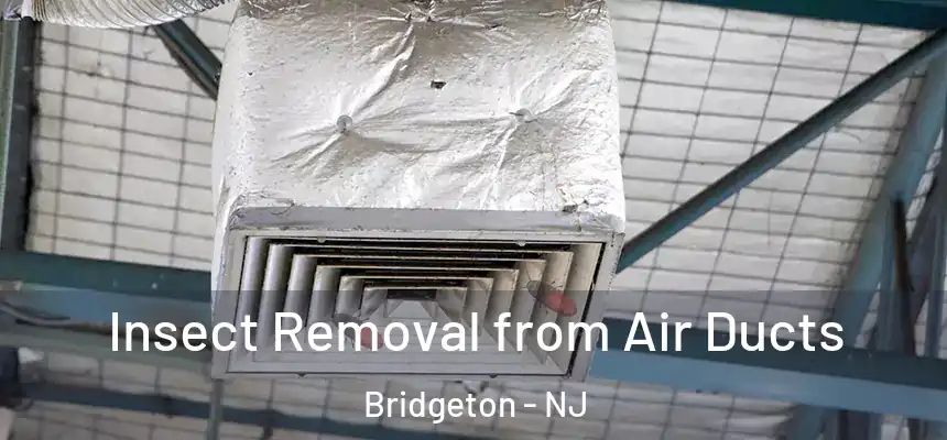 Insect Removal from Air Ducts Bridgeton - NJ