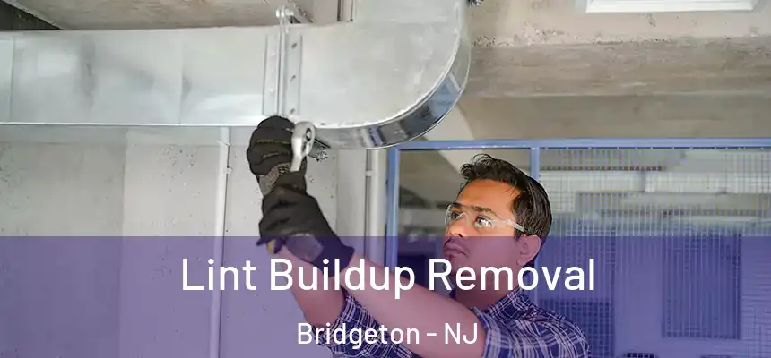 Lint Buildup Removal Bridgeton - NJ