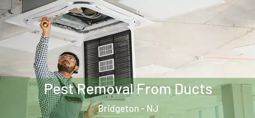  Pest Removal From Ducts Bridgeton - NJ