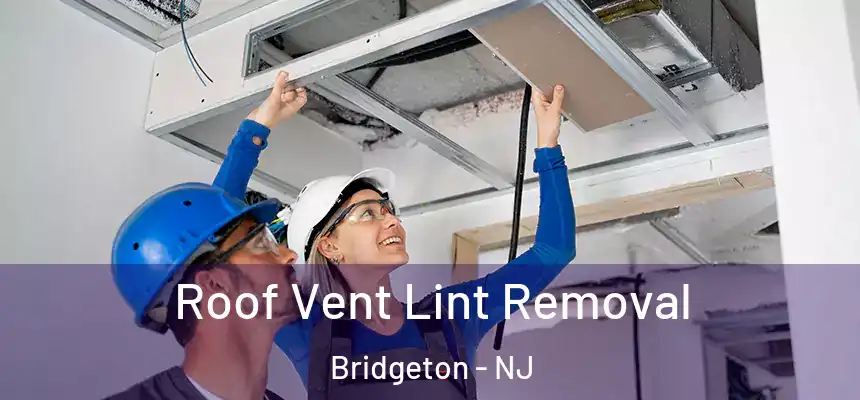  Roof Vent Lint Removal Bridgeton - NJ