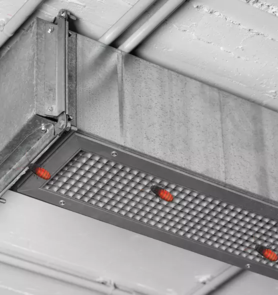 Affordable Insect Removal from Air Ducts in Bridgeton, NJ