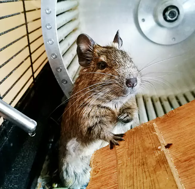 Why Homeowners & Businesses Trust Us Bridgeton, NJ?