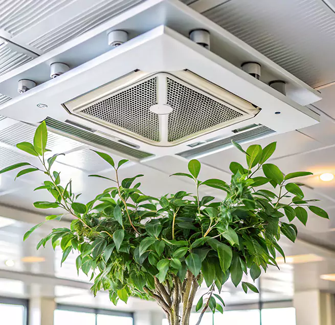 Why Homeowners & Businesses Trust Us in Bridgeton, NJ